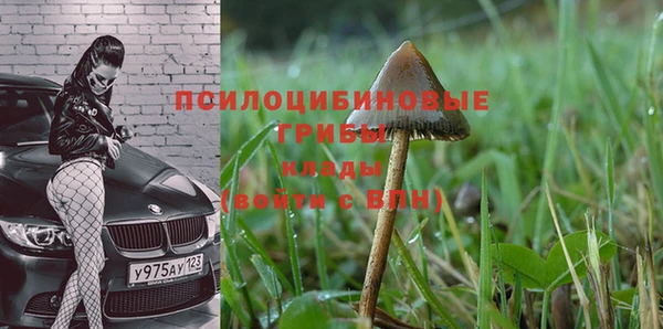 первитин Козельск