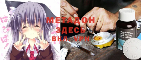 дмт Болотное