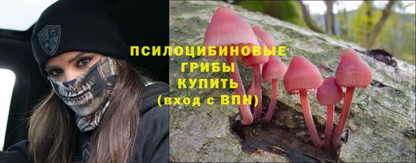 круглые Корсаков