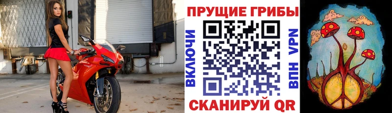 Галлюциногенные грибы MAGIC MUSHROOMS  купить закладку  Ковдор 